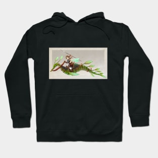 The Dragon Princess Hoodie